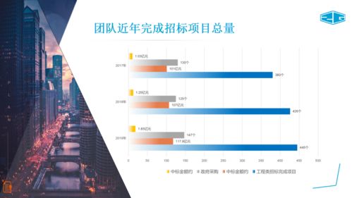 中冠咨詢 專業招標代理與政府采購服務，及信息技術咨詢解決方案